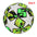 Standard Soccer Ball
