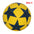 Standard Soccer Ball