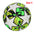 Standard Soccer Ball