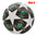 Standard Soccer Ball
