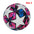 Standard Soccer Ball