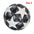 Standard Soccer Ball