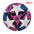 Standard Soccer Ball