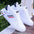 Zapatillas Hombre Lightweight Shoes