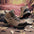 Hiking Men's Shoes